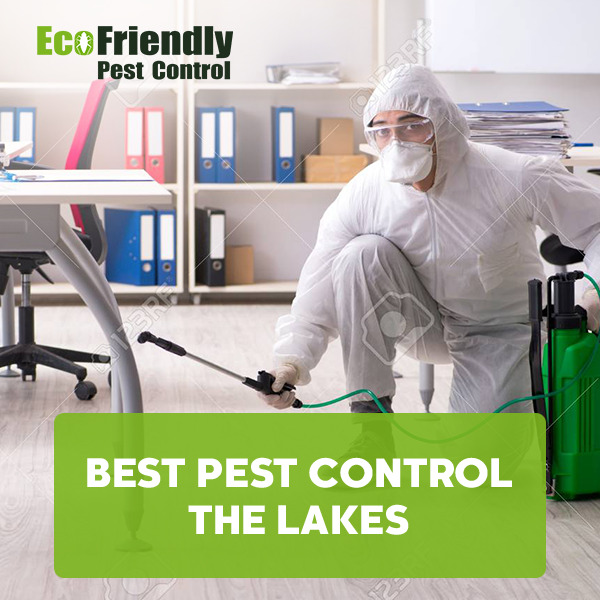 Pest Control The Lakes